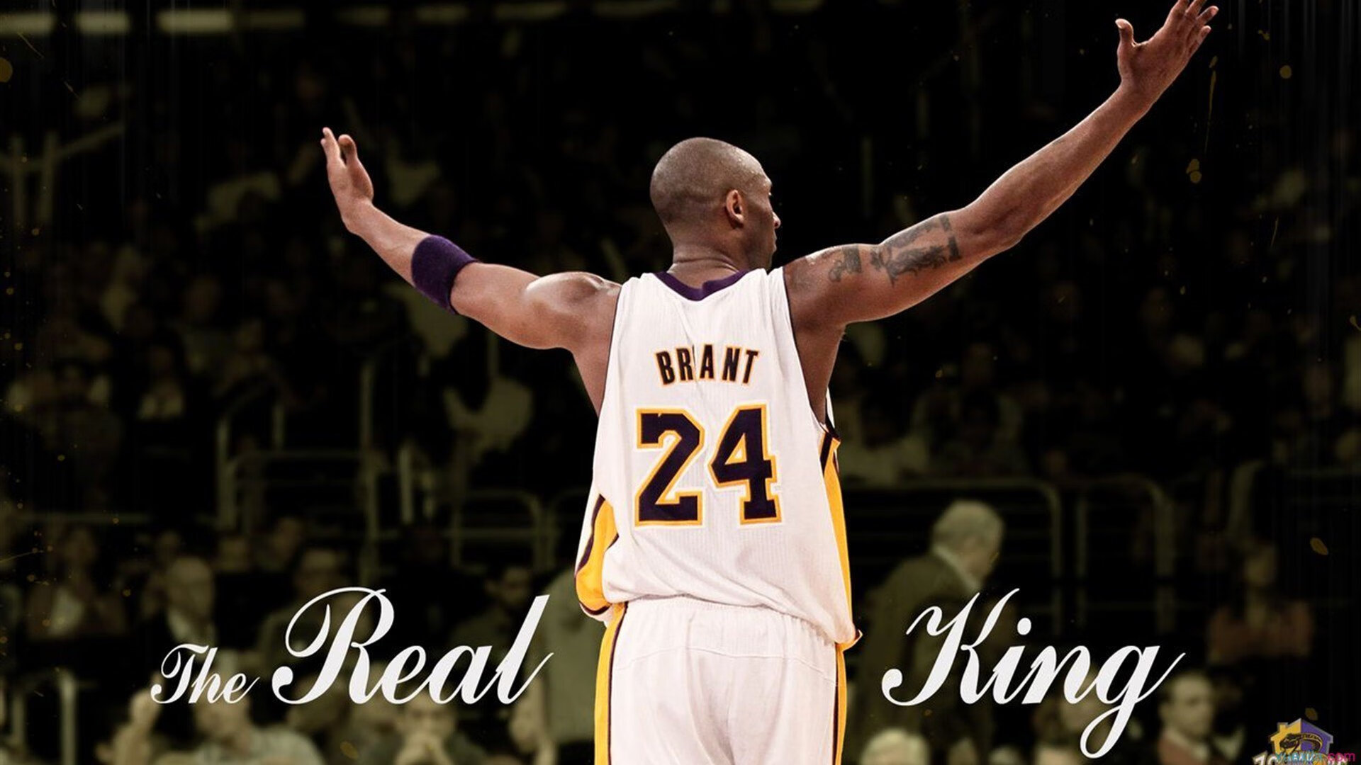 华体会sports-体育新闻中心上线体育智能内容推荐系统，体育专题新闻